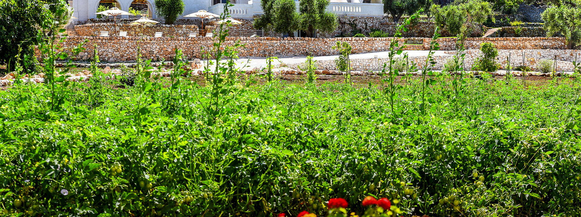 La Residenza - Corte Dei Messapi