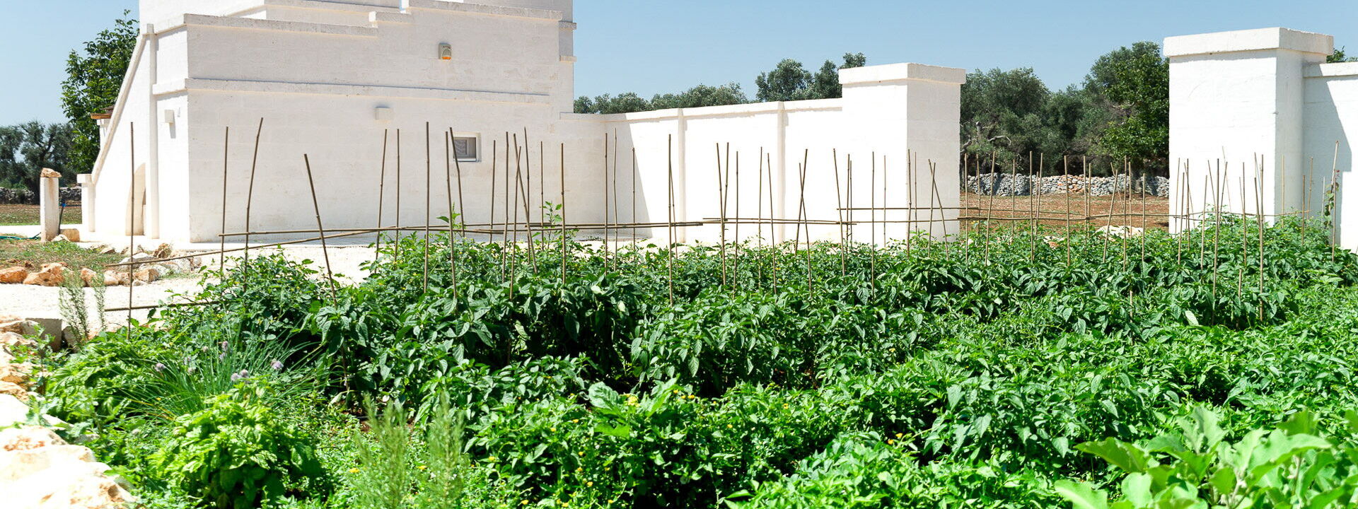 La Torretta - Corte Dei Messapi